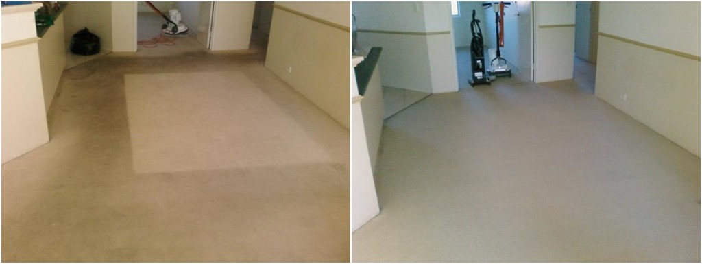 Before & After Chem Dry Elite