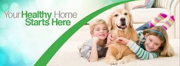 healthy home cleaning